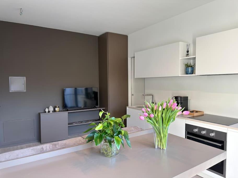 Riva 13 Apartment ลูกาโน ภายนอก รูปภาพ